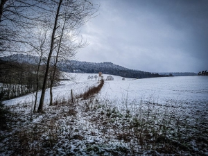 Feldrand mit Zaun