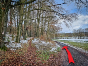 Auf dem breiten Weg außen am Waldrand entlang