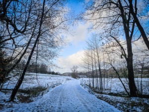 Noch einmal über eine Brücke und vom Wald weg