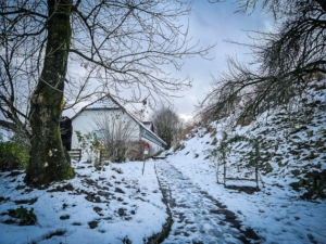 Schmaler Weg vom Hexenhaus hoch zur Ruine