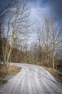 Weg hinauf zur Schaumburg