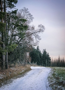 Auf einem Bergplateau