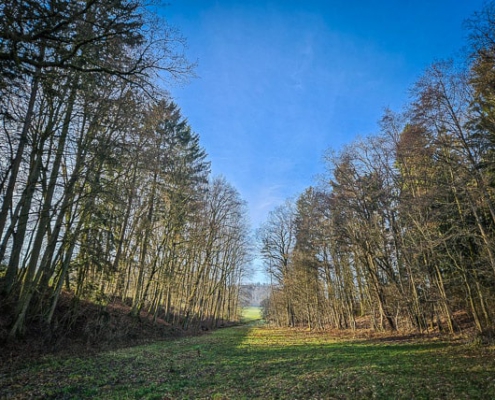 Am Rande des frühlingshaften Tals der Itz zwischen Almerswind und Schalkau