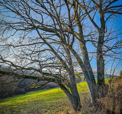 Die Landschaft bei Ehnes unterhalb der Ruine Schaumburg in frühlingshaftem Gewande