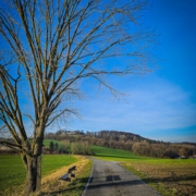 Die Landschaft bei Ehnes unterhalb der Ruine Schaumburg in frühlingshaftem Gewande