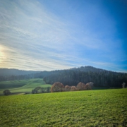 Die Landschaft bei Ehnes unterhalb der Ruine Schaumburg in frühlingshaftem Gewande