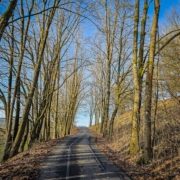 Der Weg hoch zur Ruine Schaumburg in frühlingshafter Umgebung