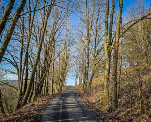 Der Weg hoch zur Ruine Schaumburg in frühlingshafter Umgebung