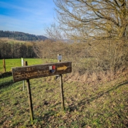 Wegweiser hoch zur Ruine Schaumburg in frühlingshafter Umgebung