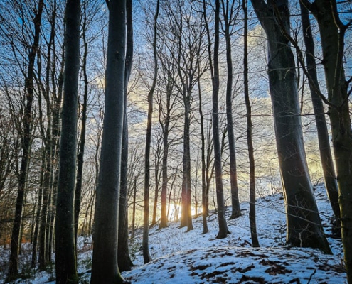 Winterlicher Wald hinter Almerswind