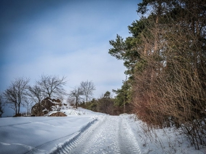 Am Waldrand entlang