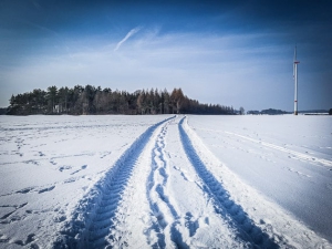 In Richtung Ecke des Waldes