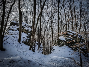 Durch Felsentor im Wald