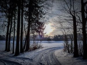 Oben aus dem Wald hinaus