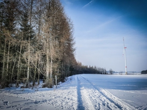 Wieder an einem Waldrand entlang