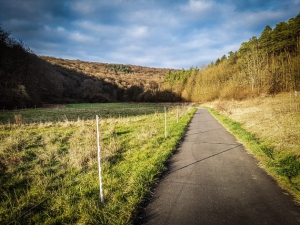 Weg nach hinten ins Tal