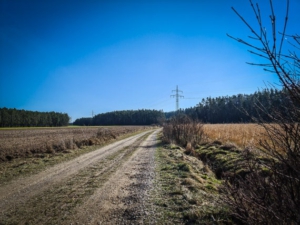 Aus dem Ort in Richtung Wald