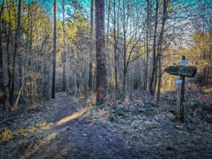 Holzschild Quellensteig