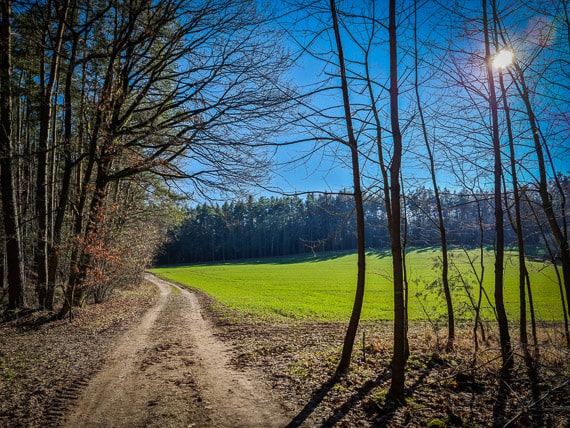 Sagenweg Kammersteiner Land