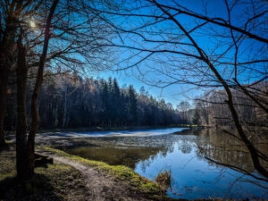 Kupferweiher bei Obermainbach