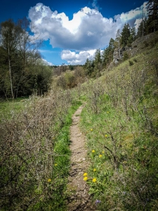 Pfad am Hang entlang im Kleinziegenfelder Tal