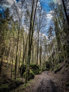 Weg aus dem Tal zwischen Felsen empor