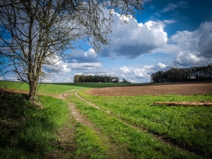 Hinaus auf die Hochebene