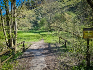 Steinerne Brücke über die Weismain