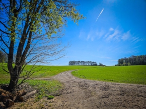 Hinaus auf die Hochebene