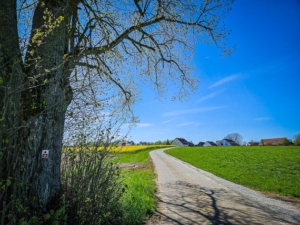 Immer dem Weg geradeaus folgen bis Kleinziegenfeld