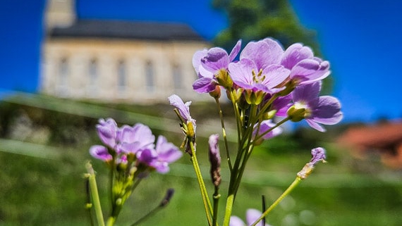 Kleinziegenfelder Tal wandern