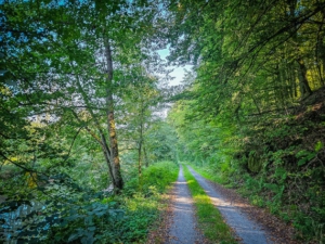 Gerader und anfangs noch breiterer Schotterweg