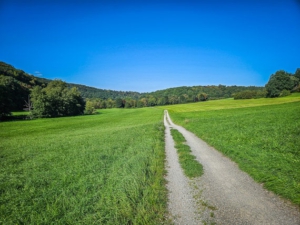 Weg draußen im Freien