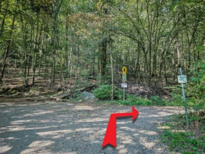 Im Wald dann gleich wieder rechts abbiegen