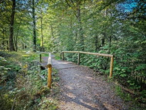 Über eine Holzbrücke zur alten Burgruine