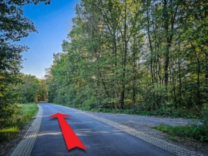 Der Straße an einer Wiese vorbei bergab folgen