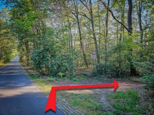 Auf den breiten Forstweg nach rechts abbiegen