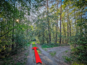 Breiten Schotterweg rechts liegen lassen