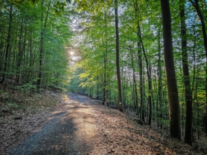 Breiter Weg am Berghang entlang