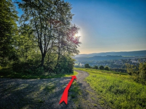 Weg verlässt Wald - Blick auf Euerdorf