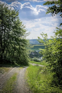 Weg verlässt Wald - Blick auf Euerdorf