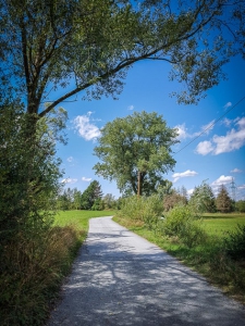 Richtung Oberauhof