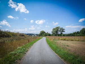 Weg in Richtung Mainleus