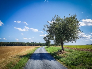 Siehe oben im Bildteil