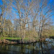 Der Rote Main am Mainzusammenfluss