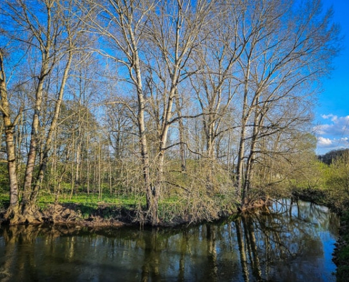 Der Rote Main am Mainzusammenfluss