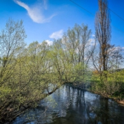 Mainzusammenfluss - der Main