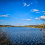 Blick über den Oberauhof-See