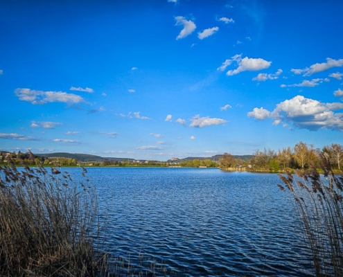 Blick über den Oberauhof-See