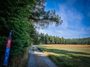 Weg am Waldrand entlang